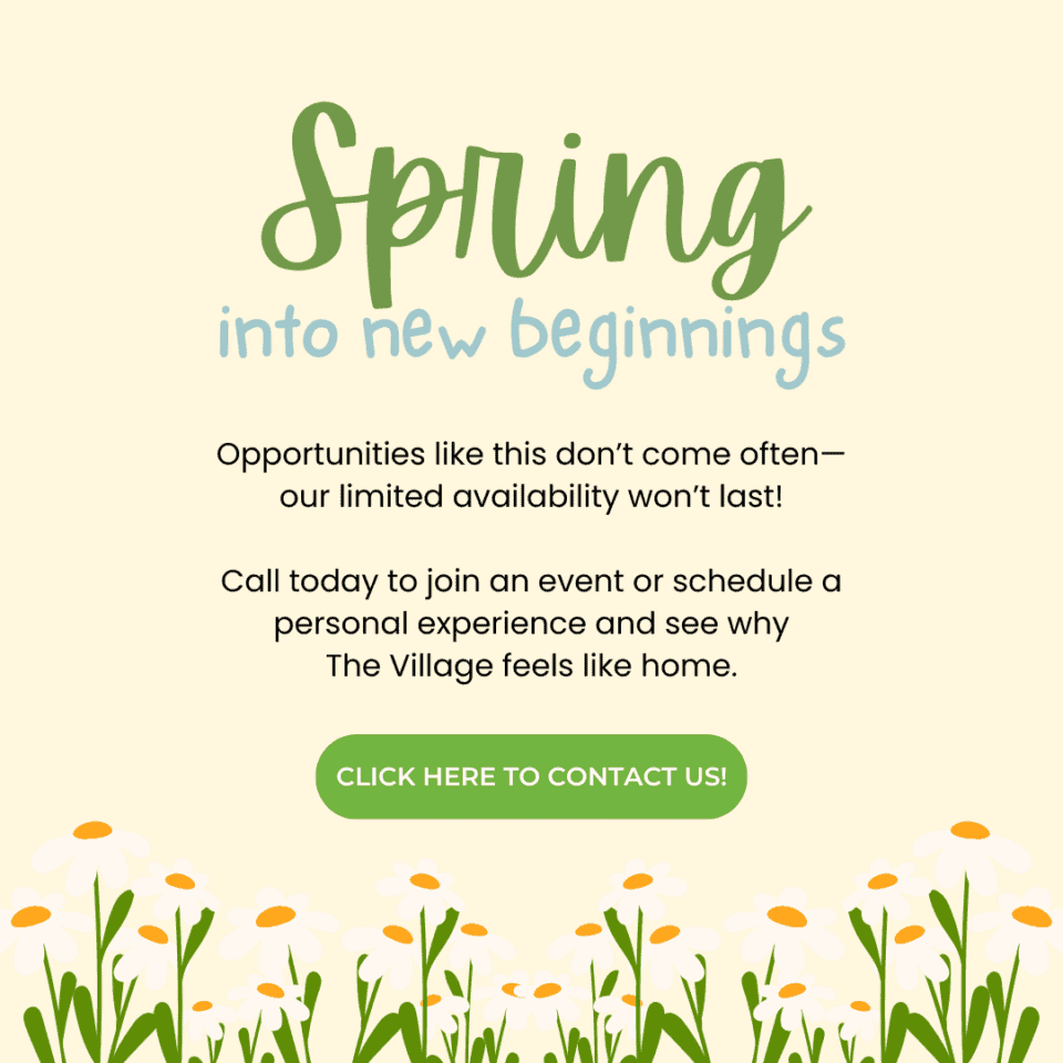 spring into new beginnings